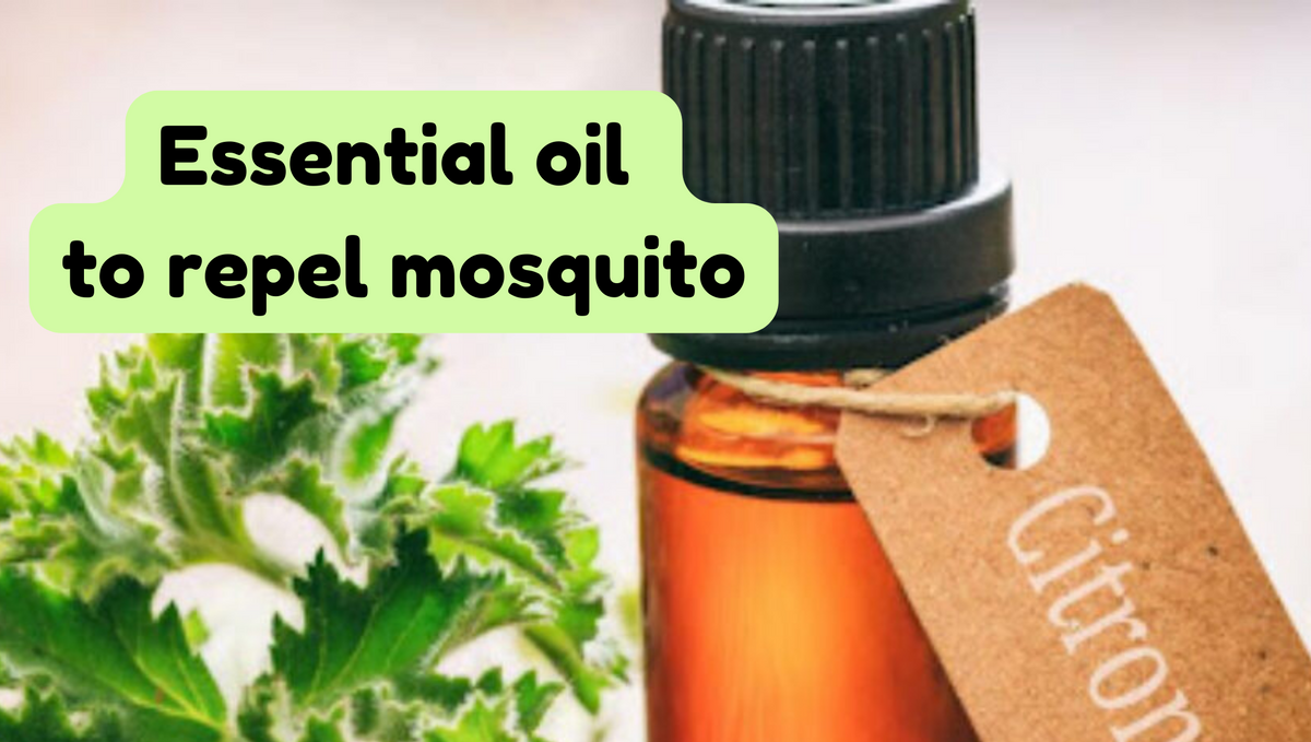 Different types of essential oil to repel mosquitoes?