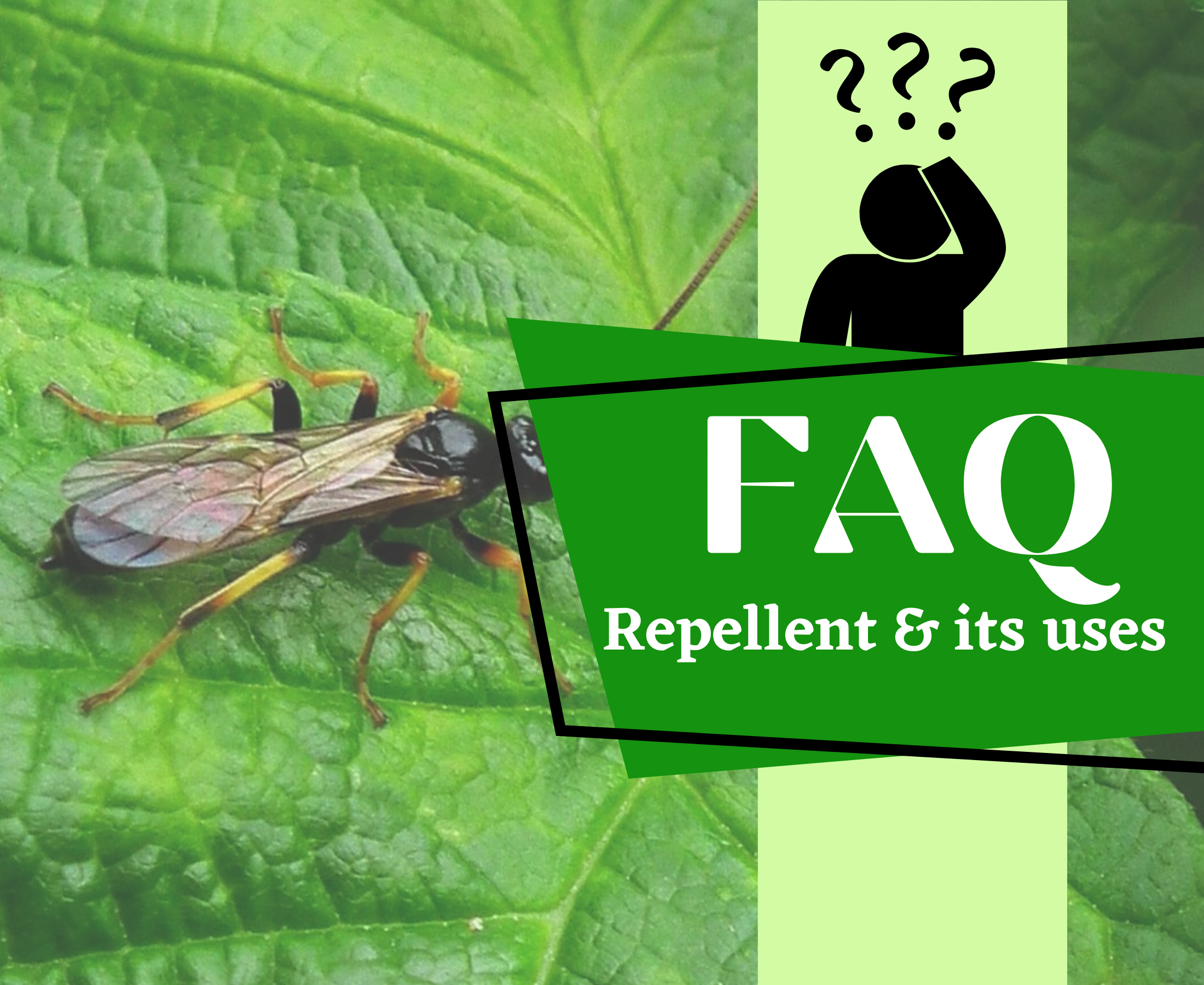 FAQ (Frequently asked question) about repellents and their uses