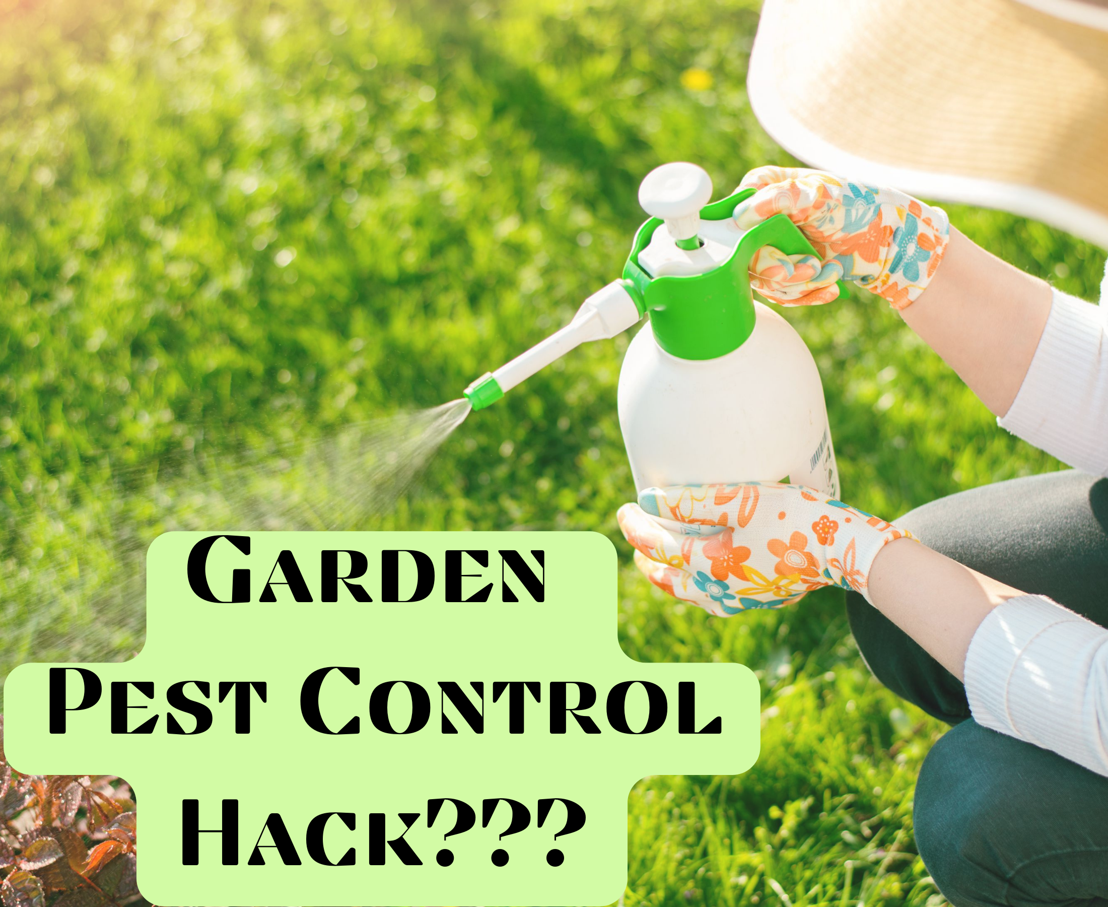 What is the best pest control technique for your garden?