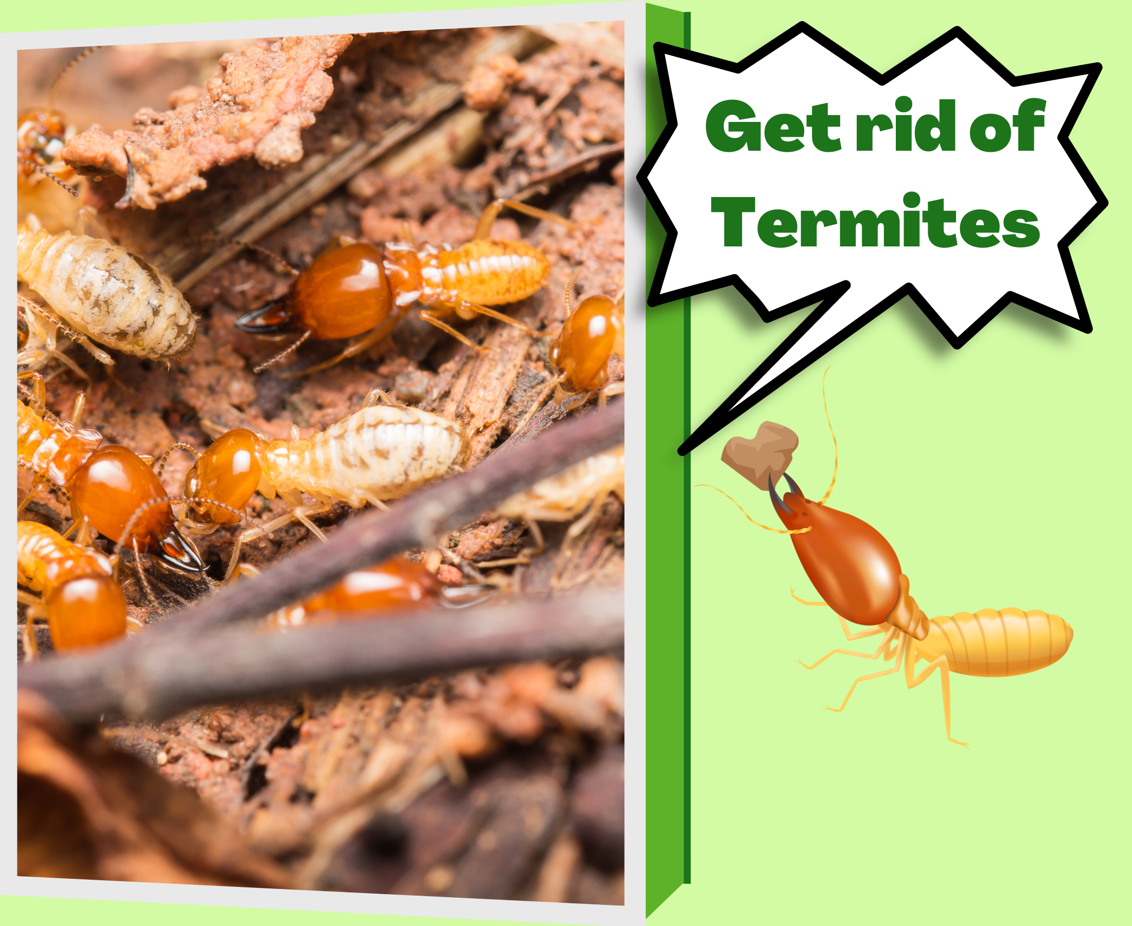 Do I have to close my house after termite treatment?