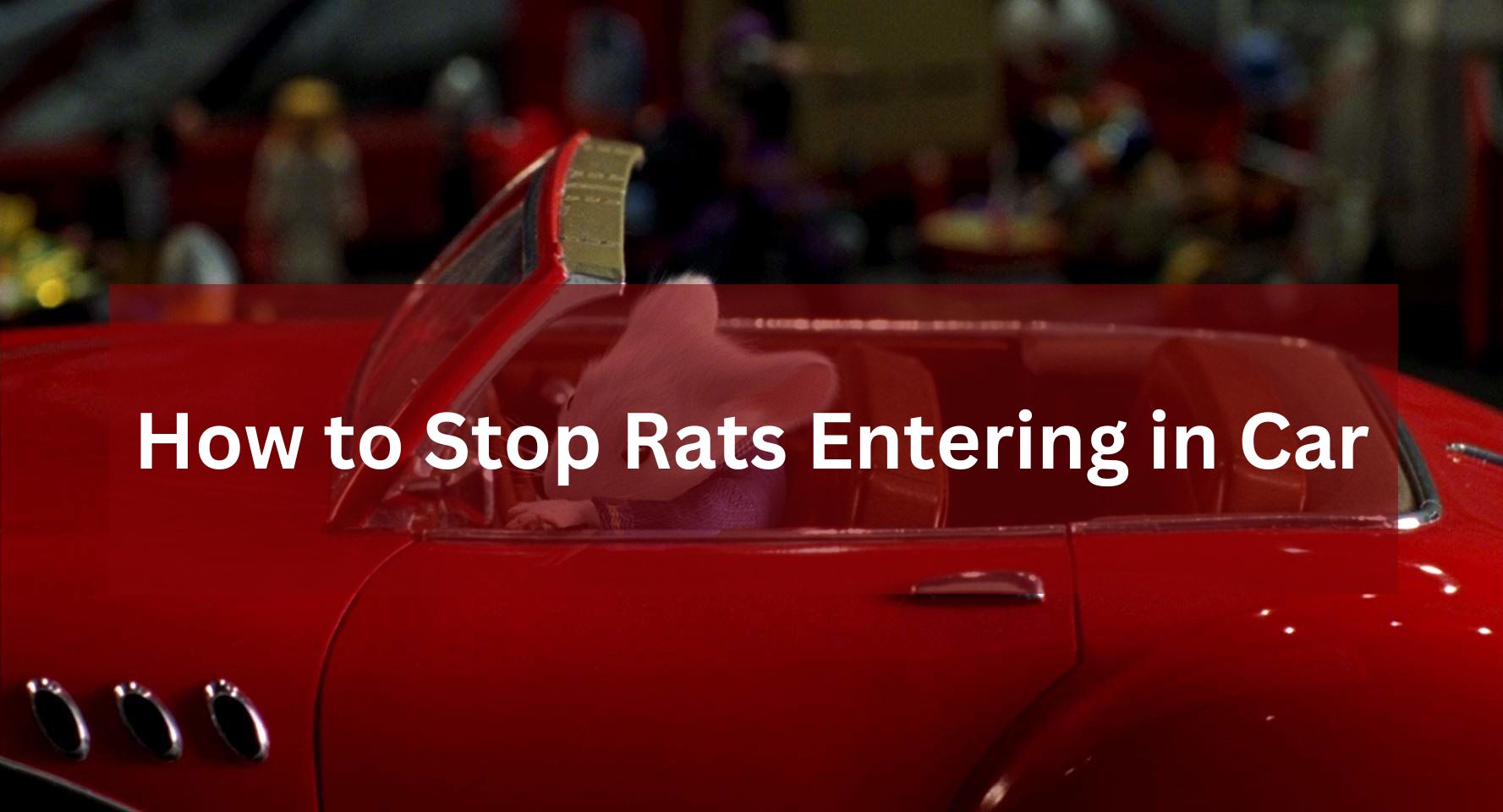 Keeping Rats at Bay: Effective Strategies to Prevent Rodents from Entering Your Car