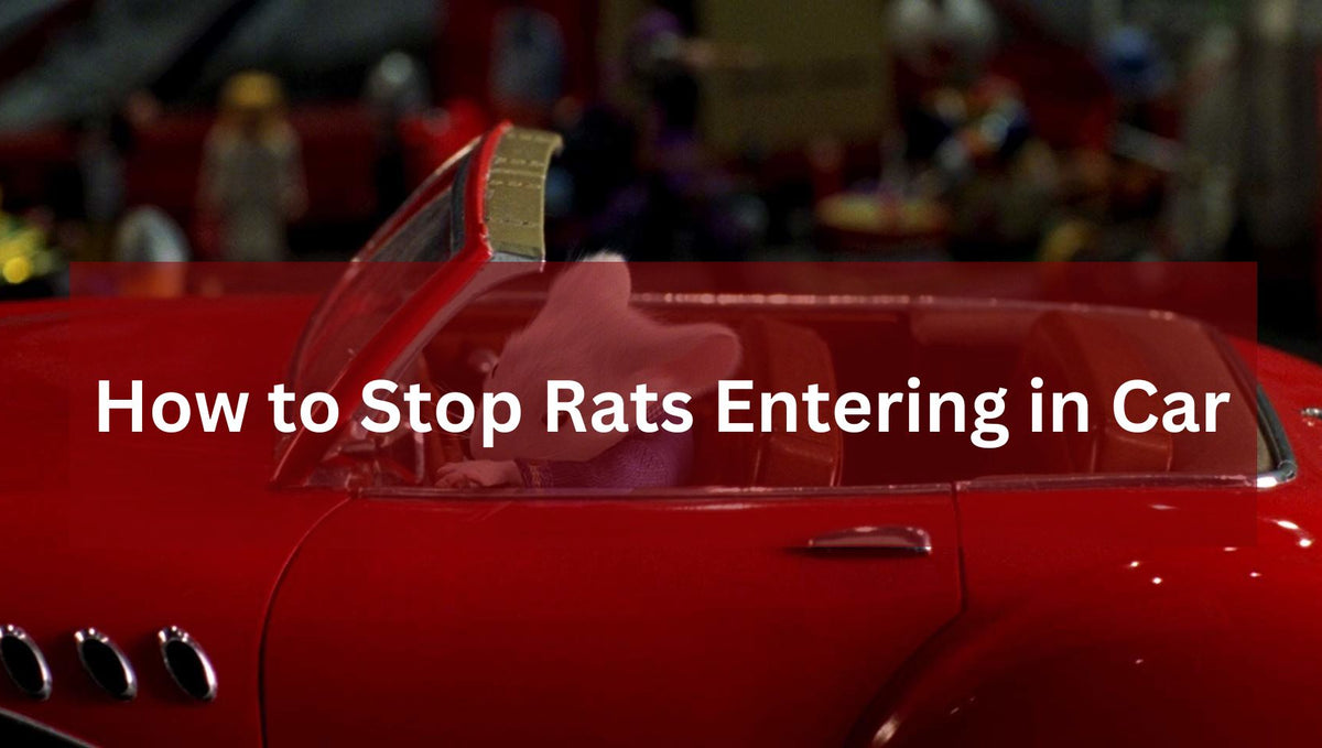 Keeping Rats at Bay: Effective Strategies to Prevent Rodents from Entering Your Car
