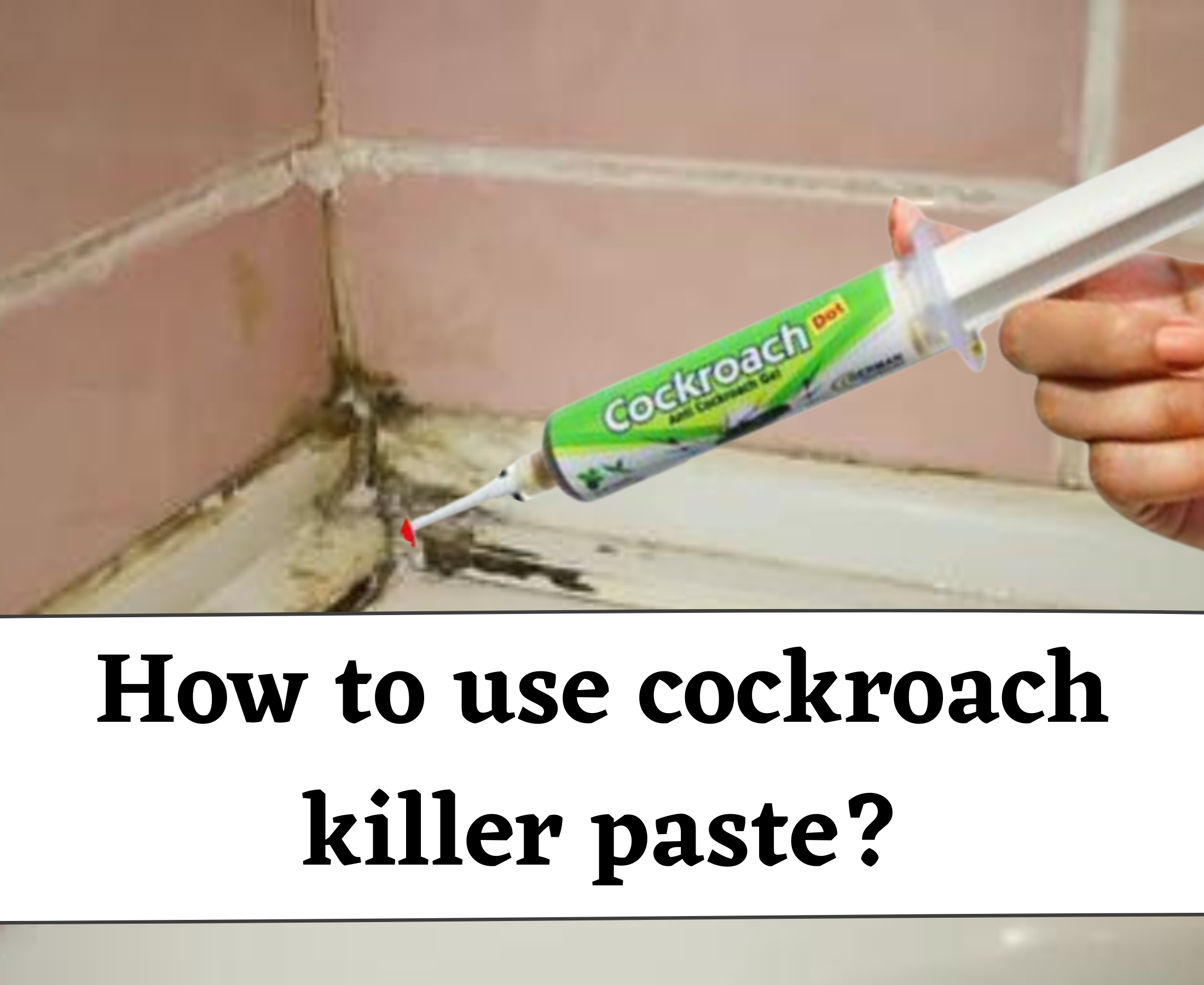 How to use cockroach killer paste/gel bait? How does it work?