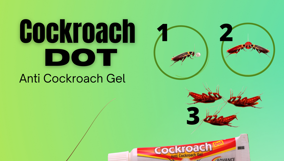 What attracts cockroaches to cockroach killer gel bait?