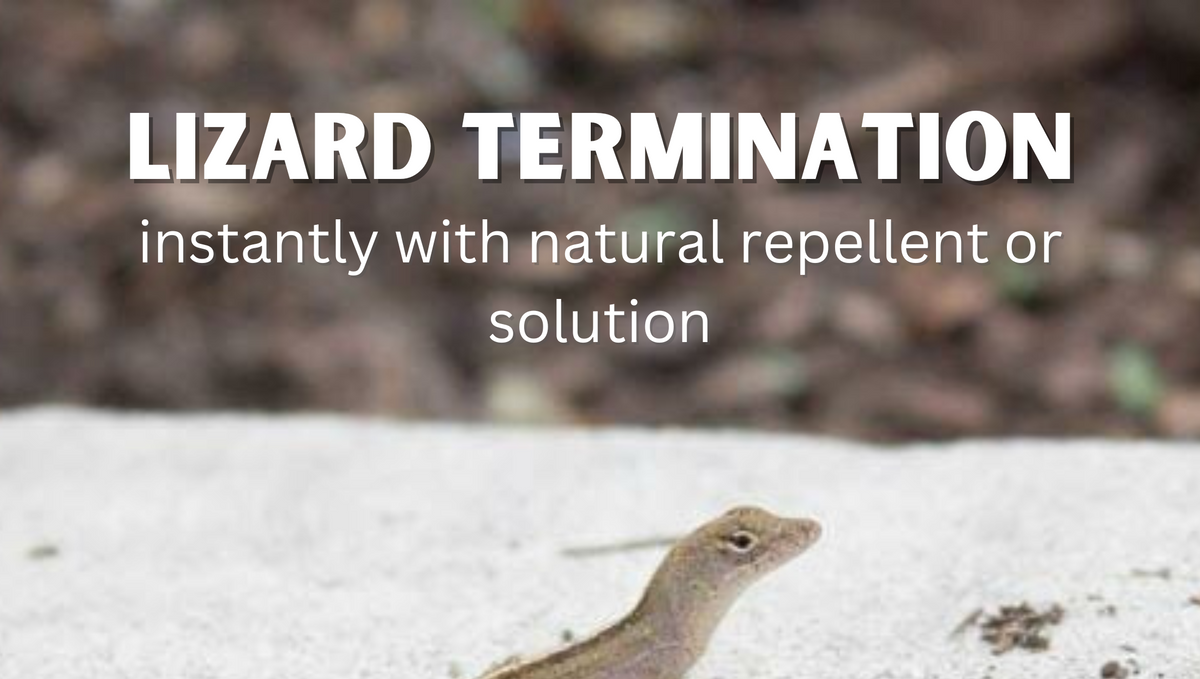 What will kill the lizard instantly and naturally?