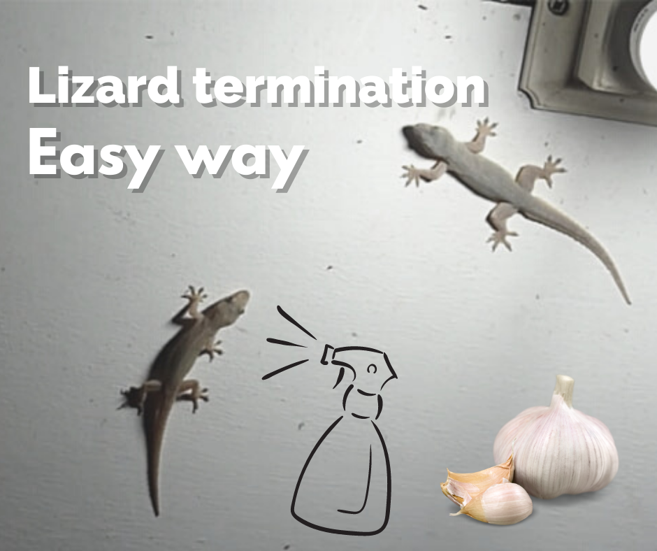 Are lizard repellents effective? How do they work?