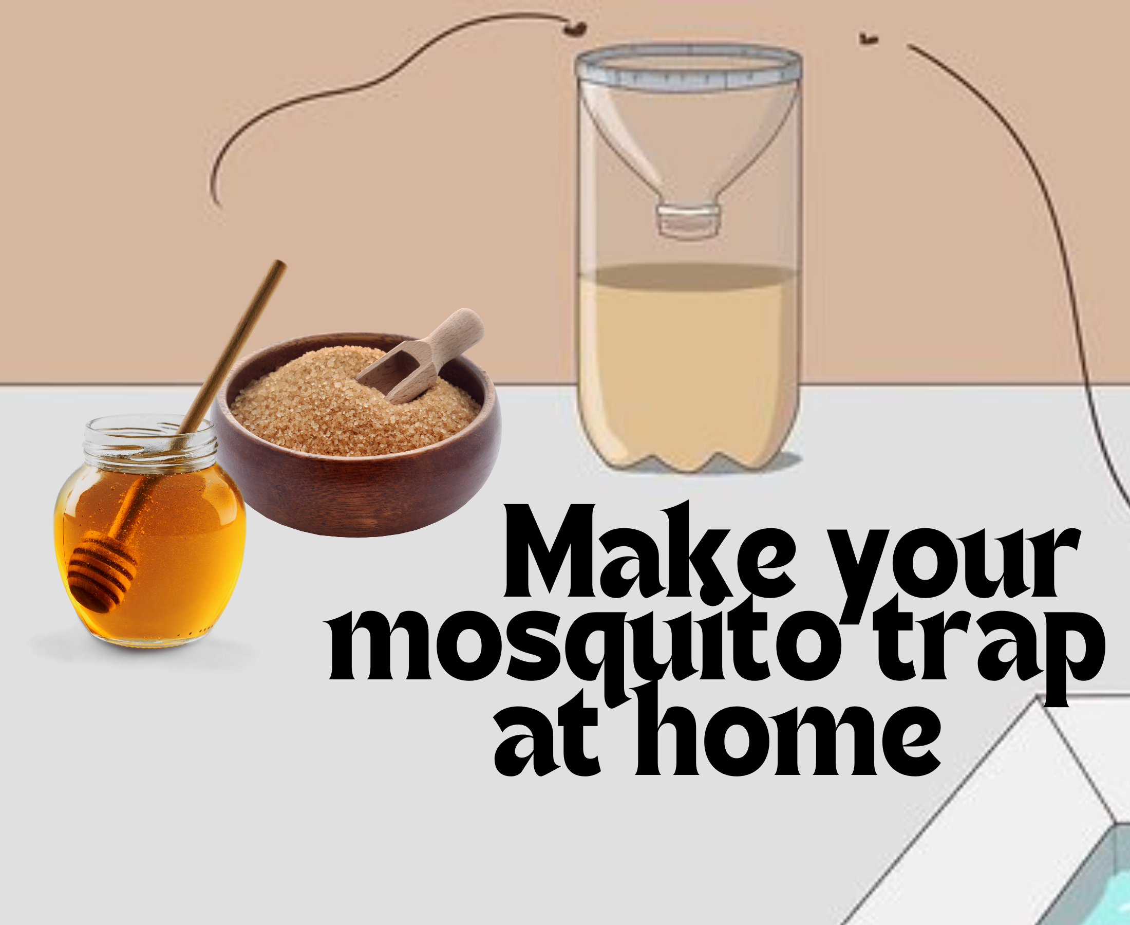 Does mosquito trap works? How to make mosquito trap at home?