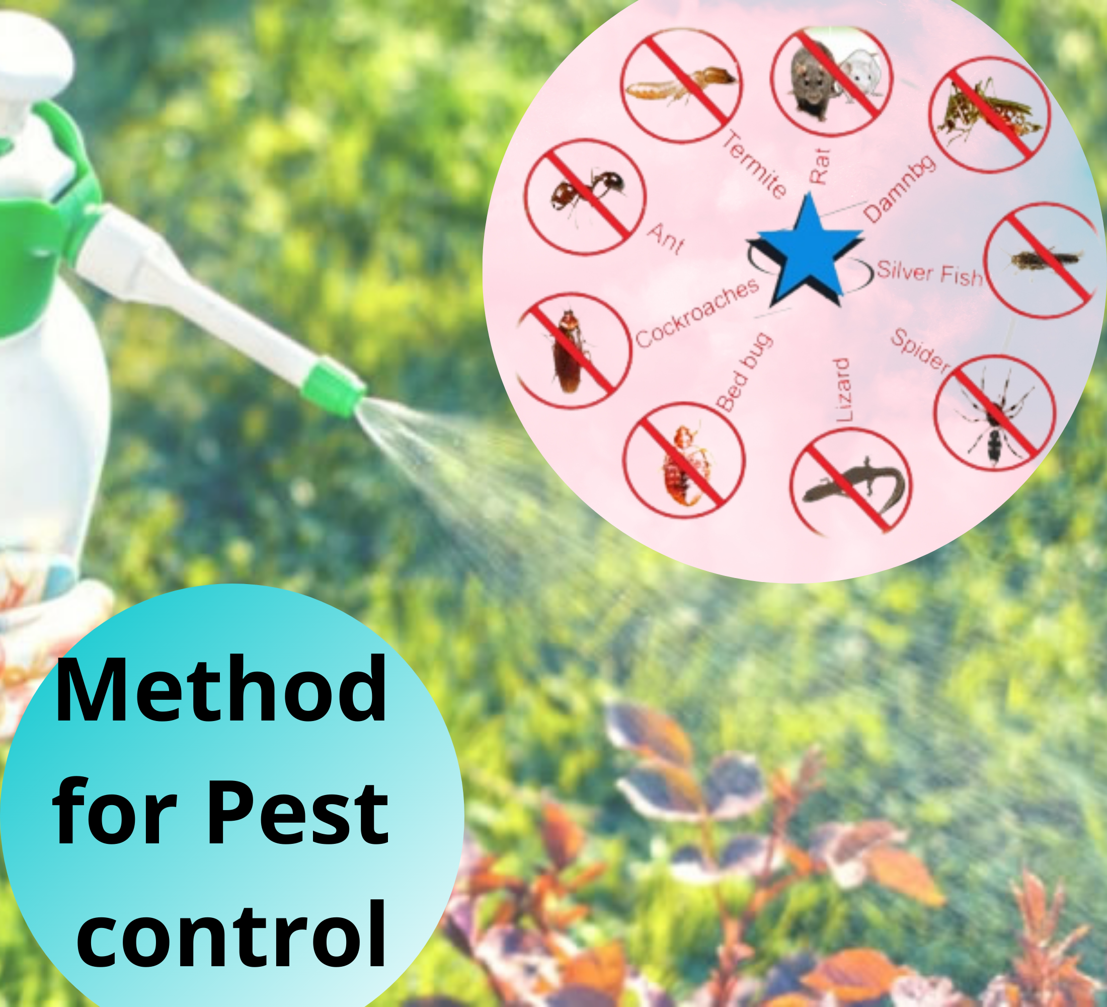 What are Some Pest Control Methods?