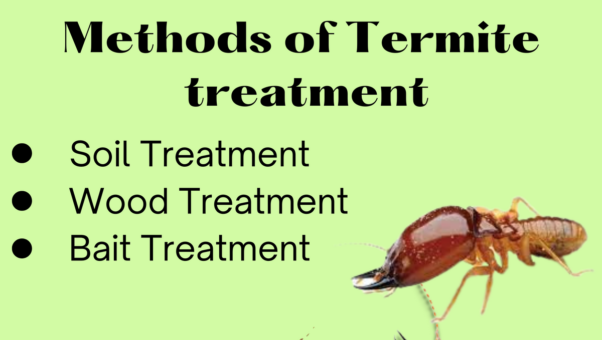 What are some different types of termite treatment?
