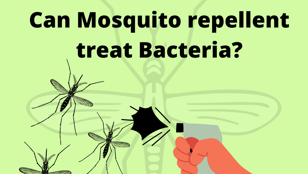 Is mosquito killer or insecticide killer are also harmful to bacteria?
