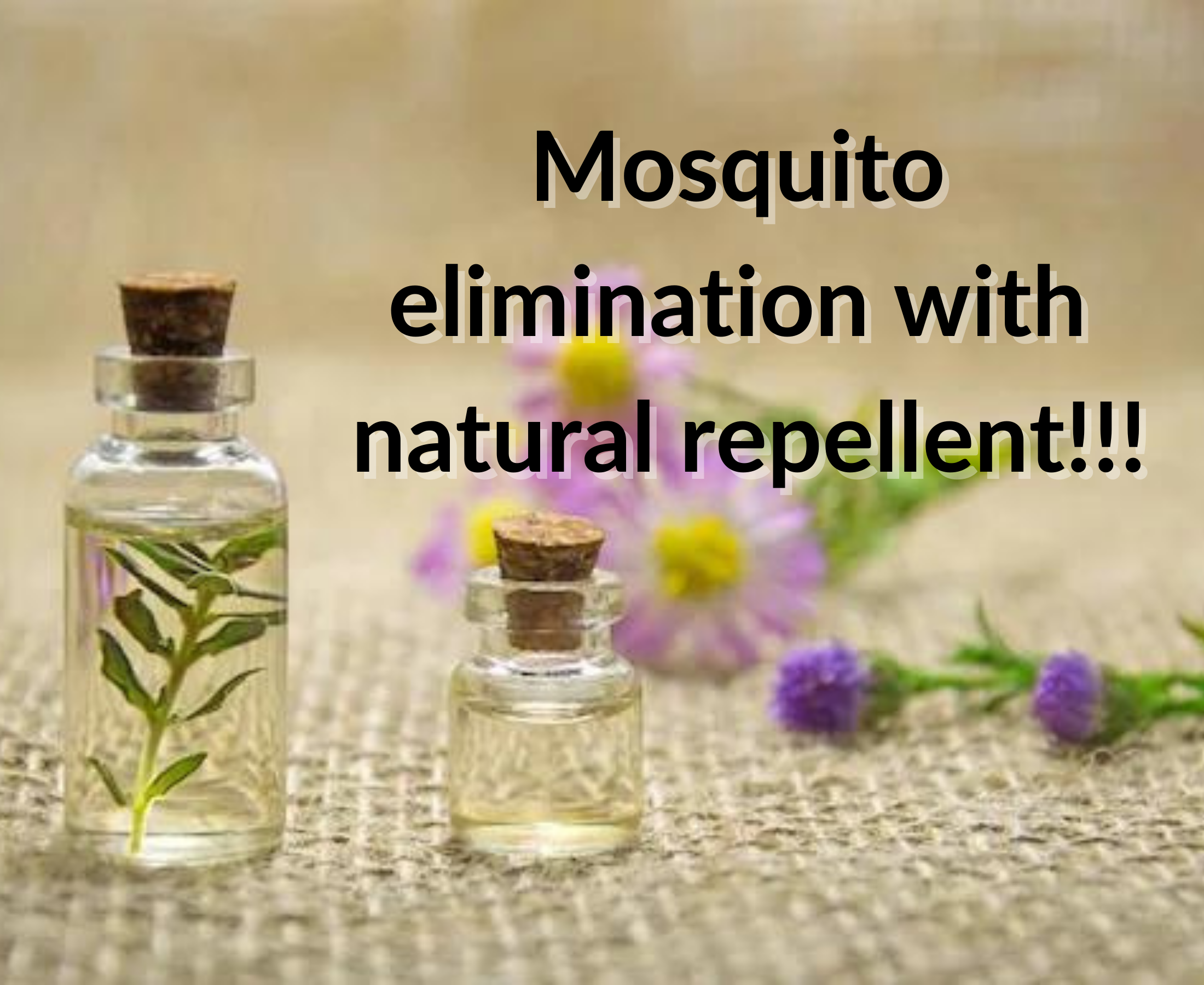 What are the most effective natural mosquito repellent and alternatives?