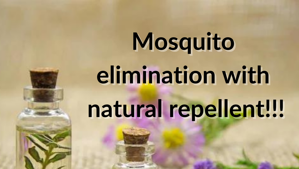 What are the most effective natural mosquito repellent and alternatives?