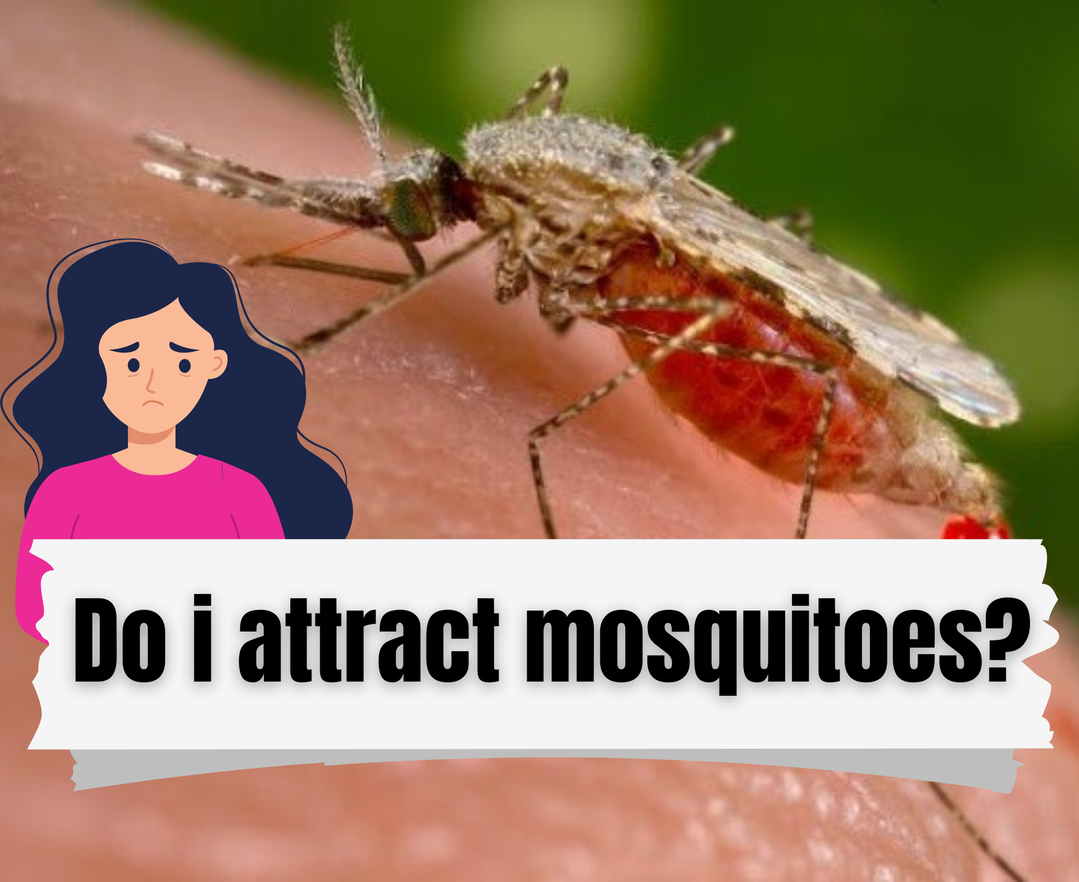 What attracts a mosquito to bite a human?
