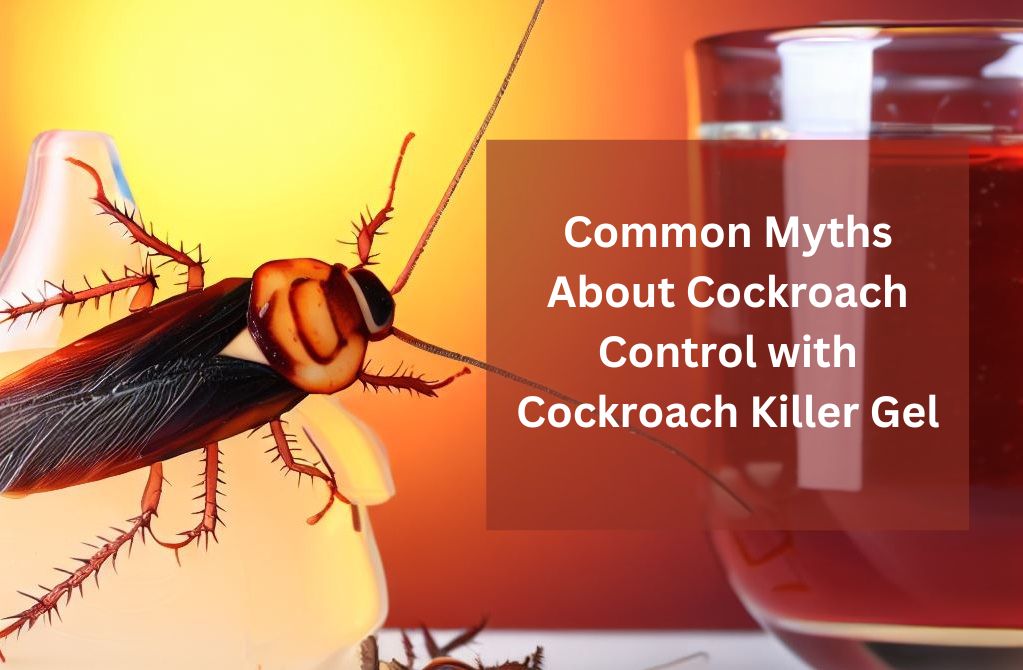 Debunking Common Myths About Cockroach Control with Cockroach Killer Gel
