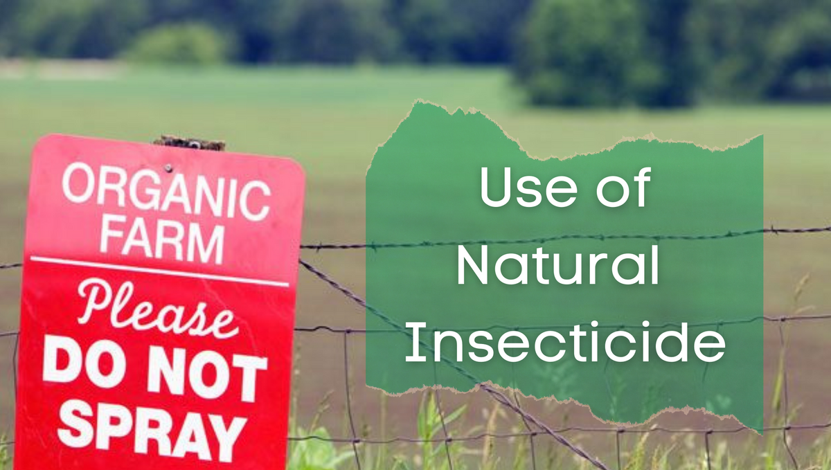 Which animals and plants are used as a natural insecticides?