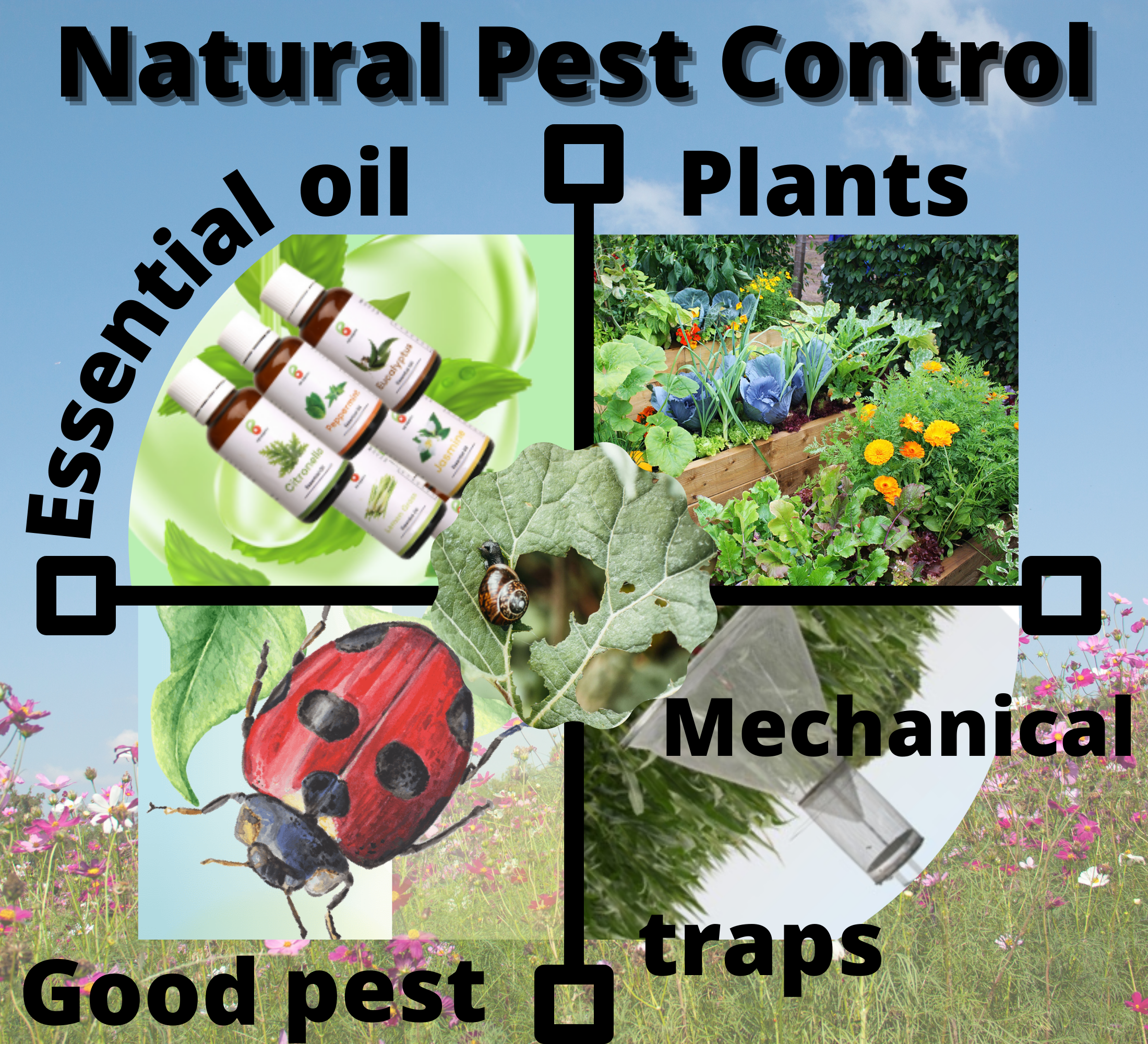 What is natural pest control?