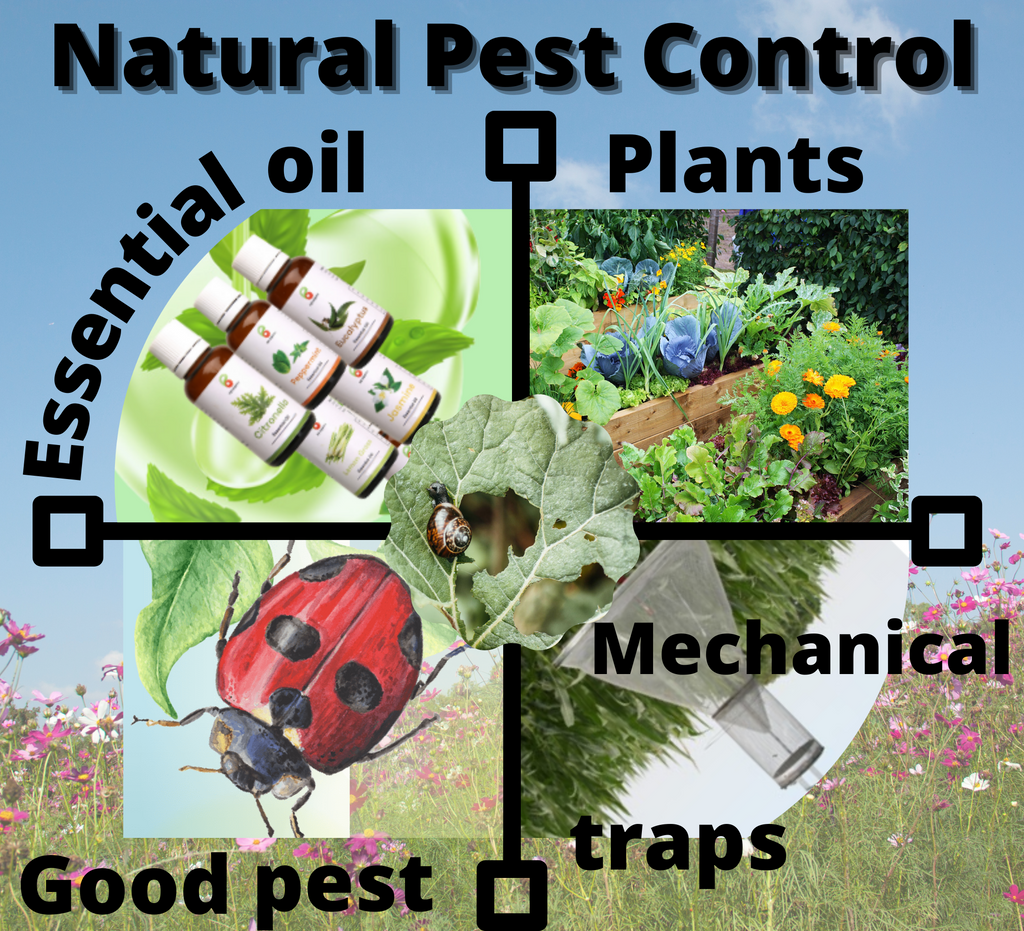 
natural pest control