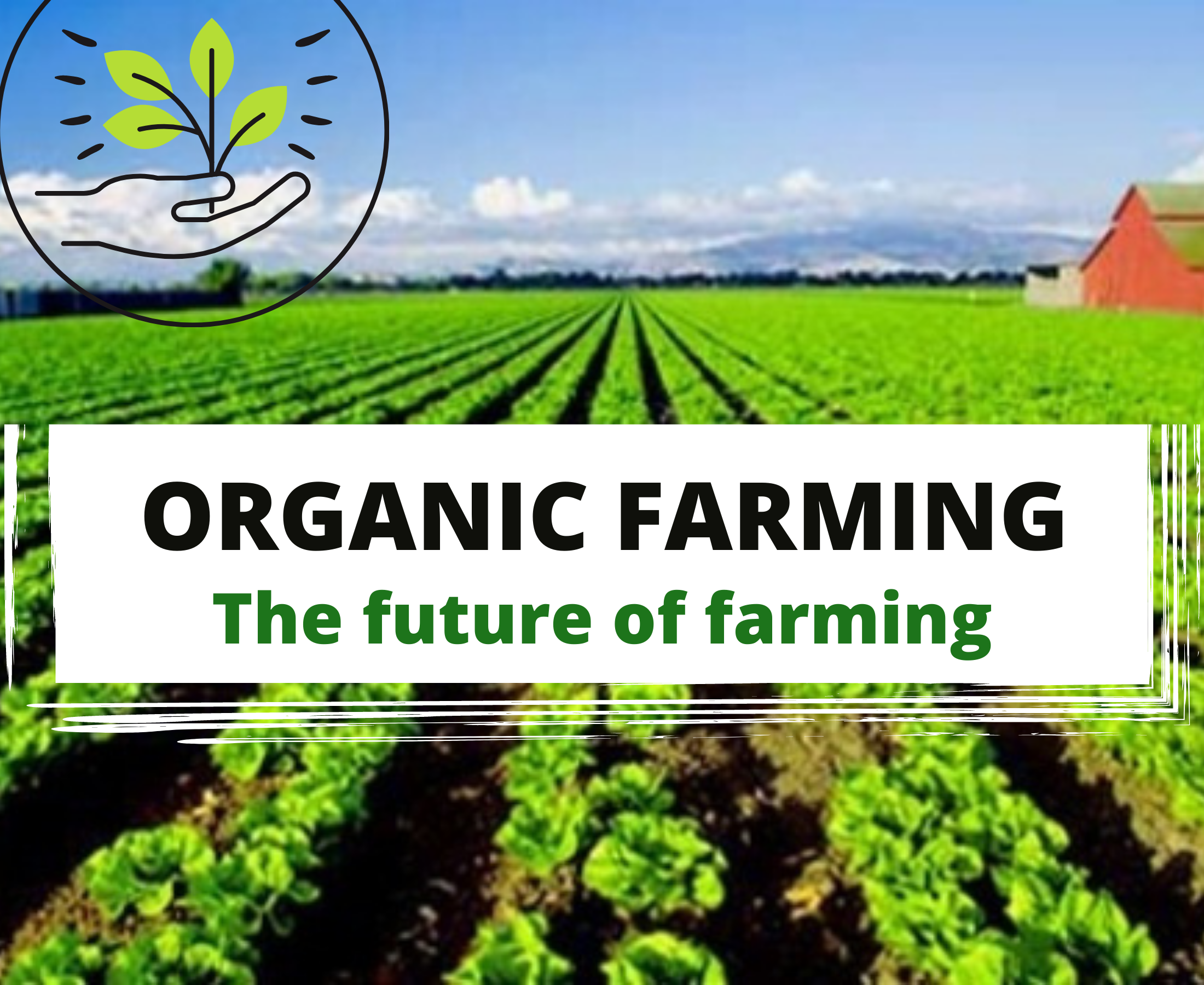 How can we use organic farming in today's generation?