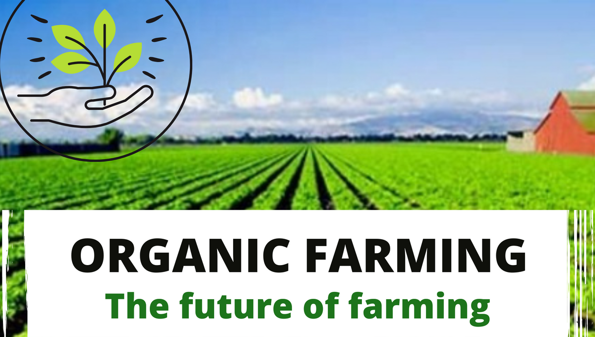 How can we use organic farming in today's generation?