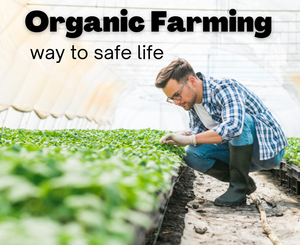 How do organic farmers control pests? Does it work?