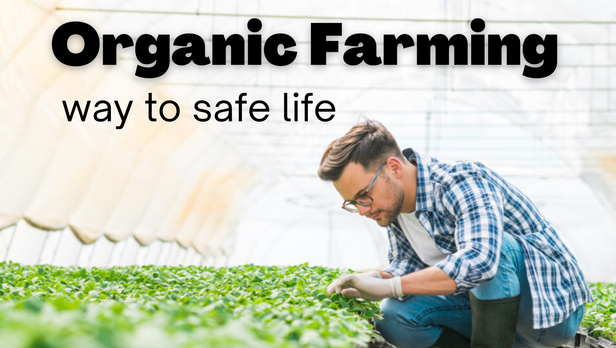 How do organic farmers control pests? Does it work?