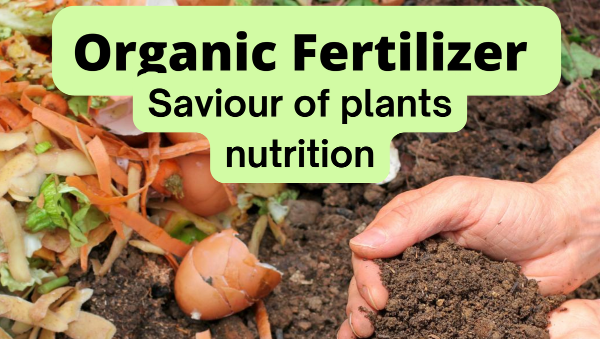 Which type of organic fertilizer is used IM the most?