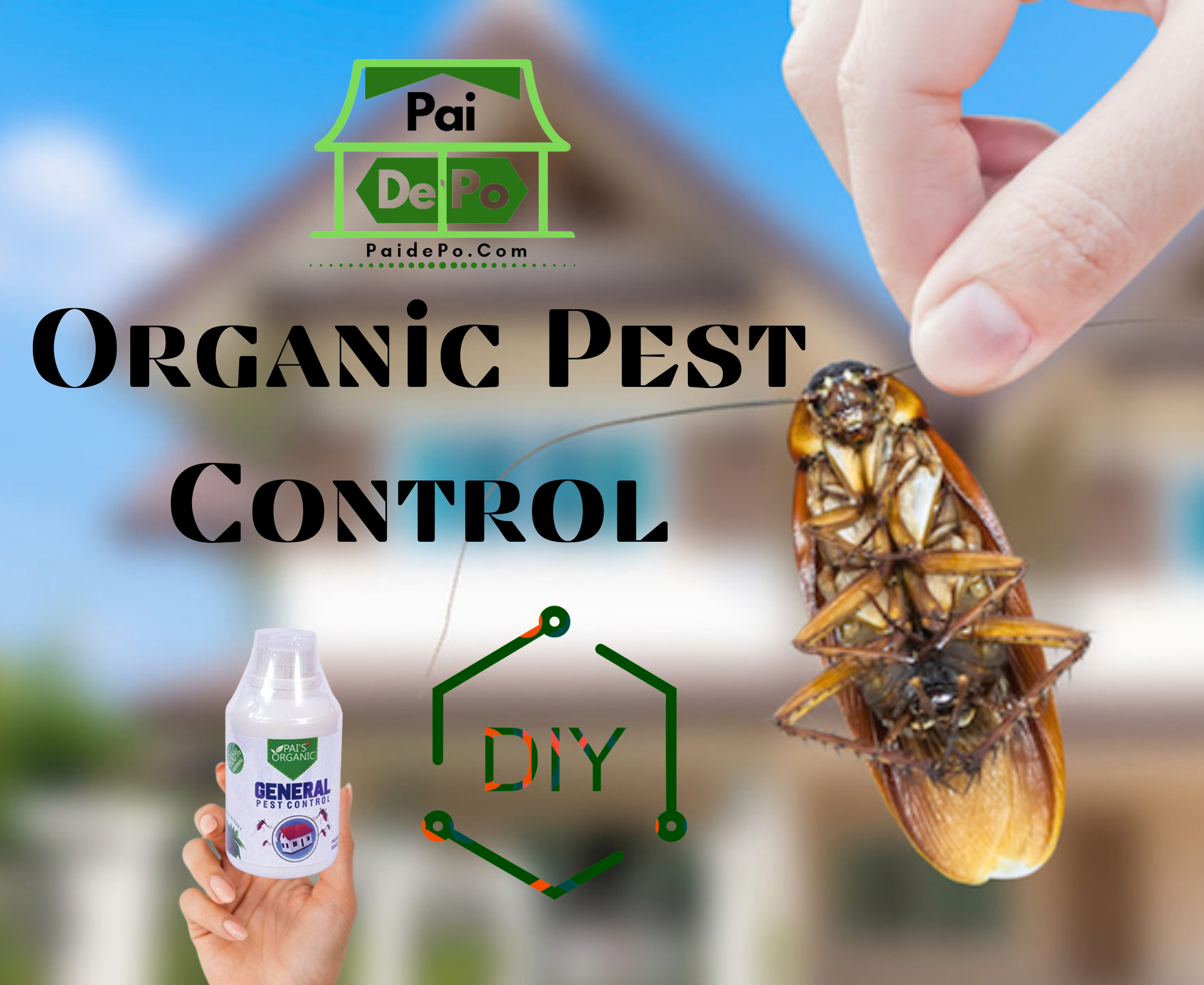 What are some best organic pest control methods?