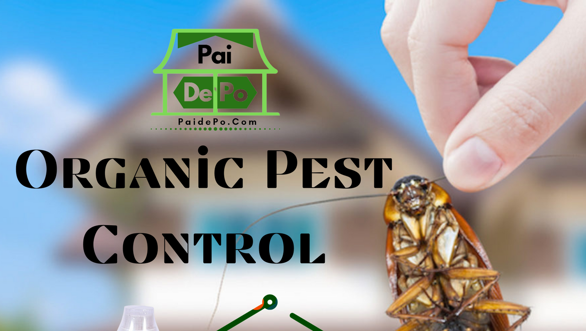 What are some best organic pest control methods?