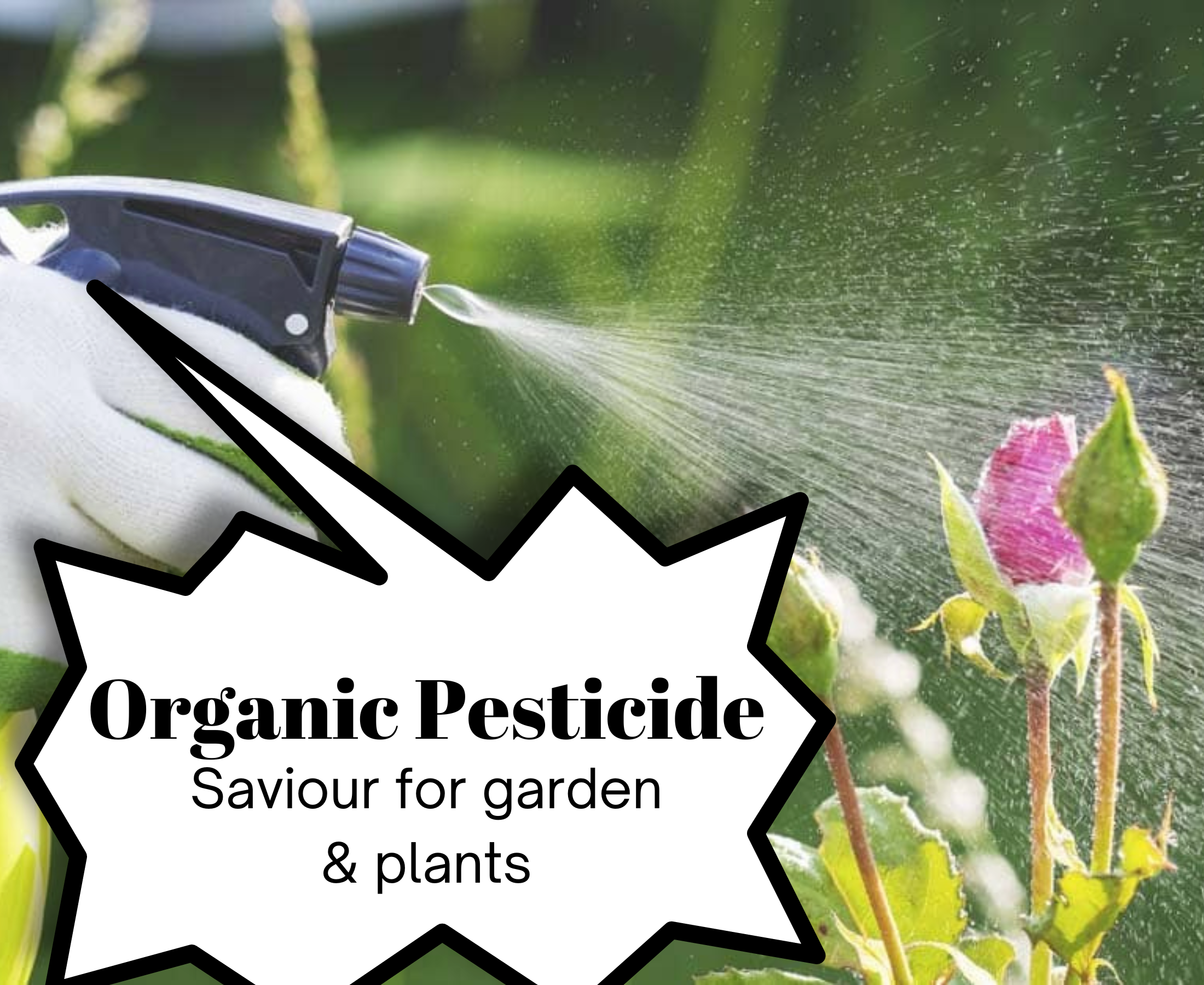 Buy the best organic pesticide for your garden