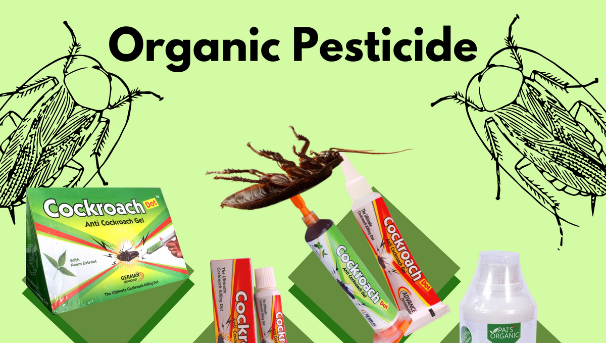 Best organic insecticide to kill cockroaches?