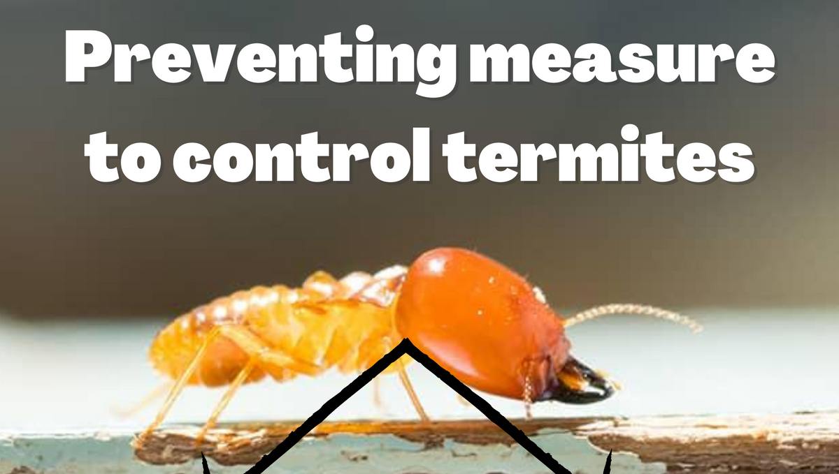 What are two preventive measures that should be adopted to control outbreaks of pests?