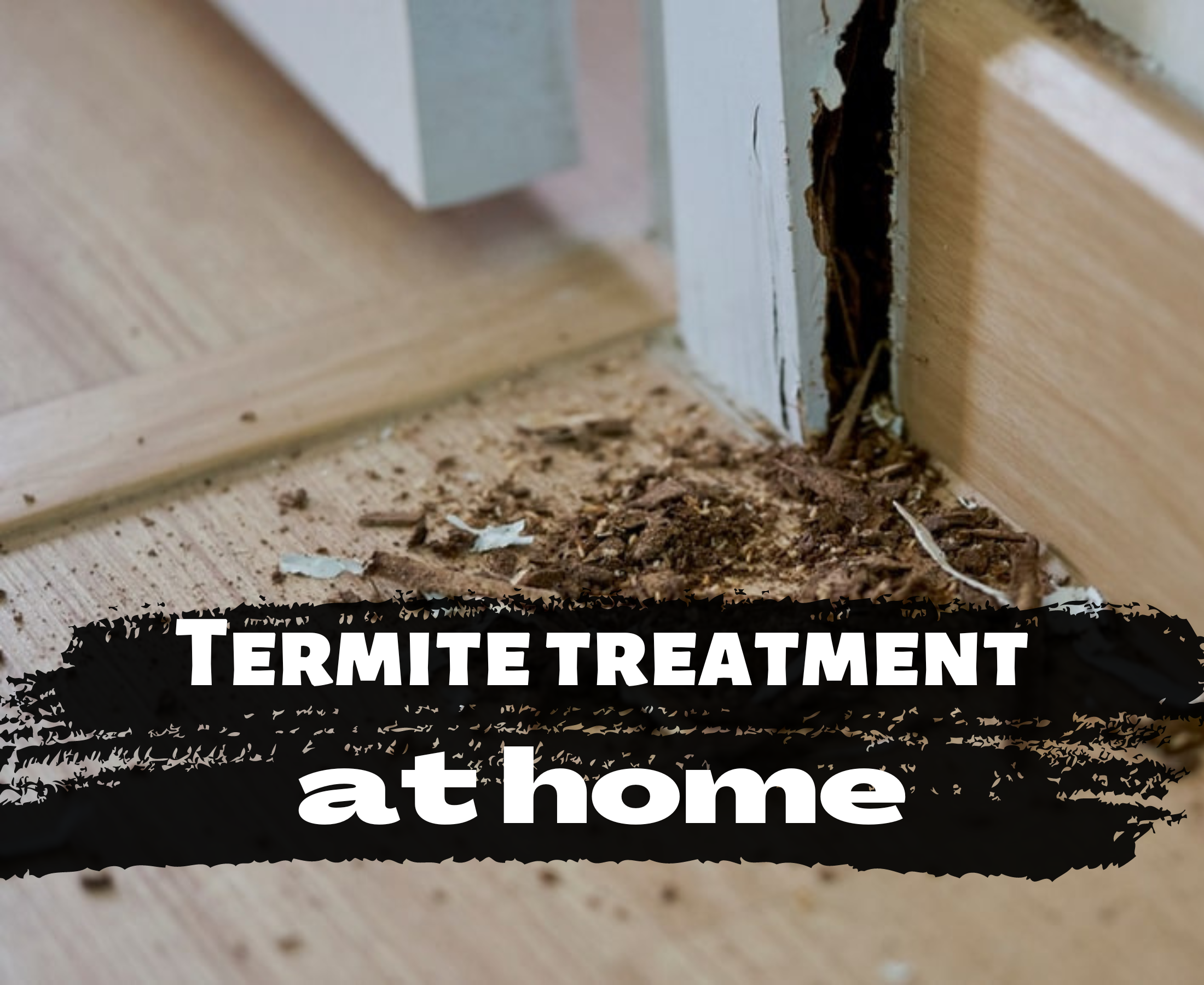 What is the best treatment for termites at home?