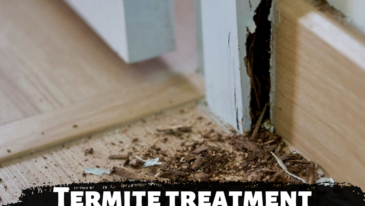 What is the best treatment for termites at home?