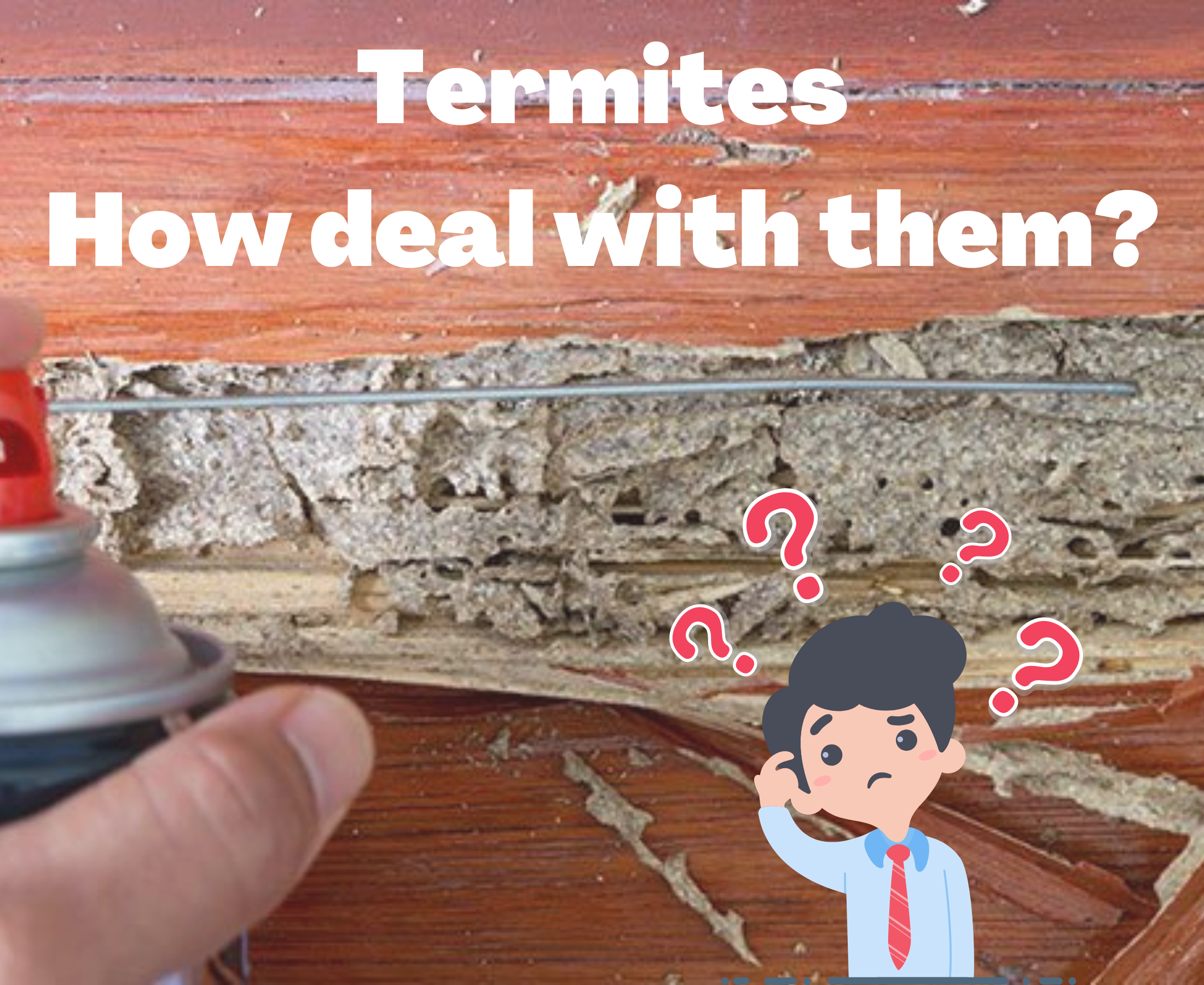 What is the solution to prevent the termite problem after years of construction?