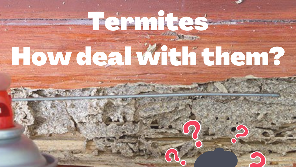 What is the solution to prevent the termite problem after years of construction?