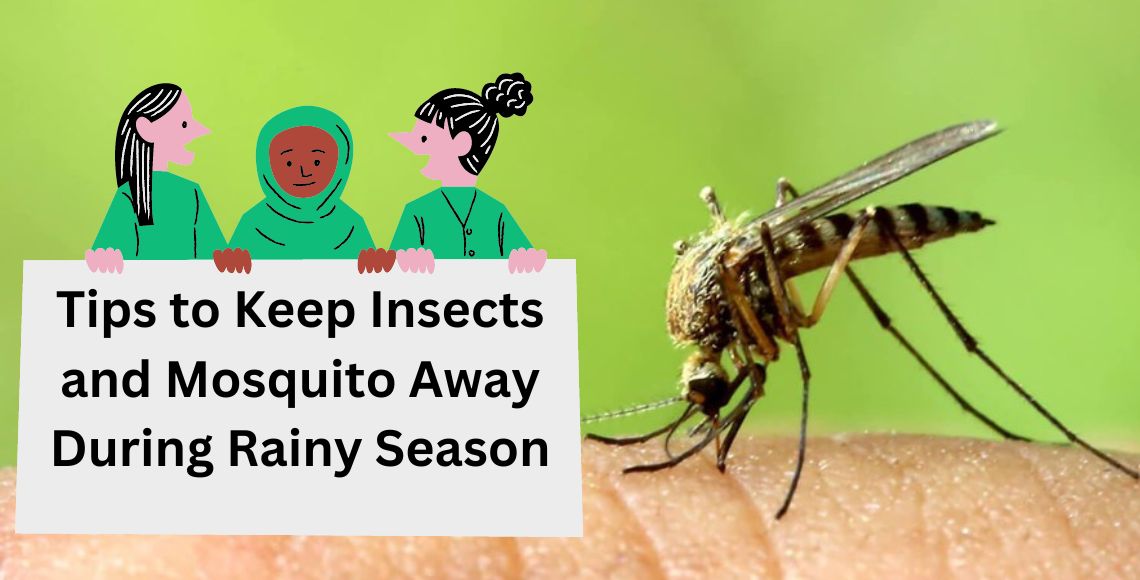 Tips to Keep Insects and Mosquito Away During Rainy Season