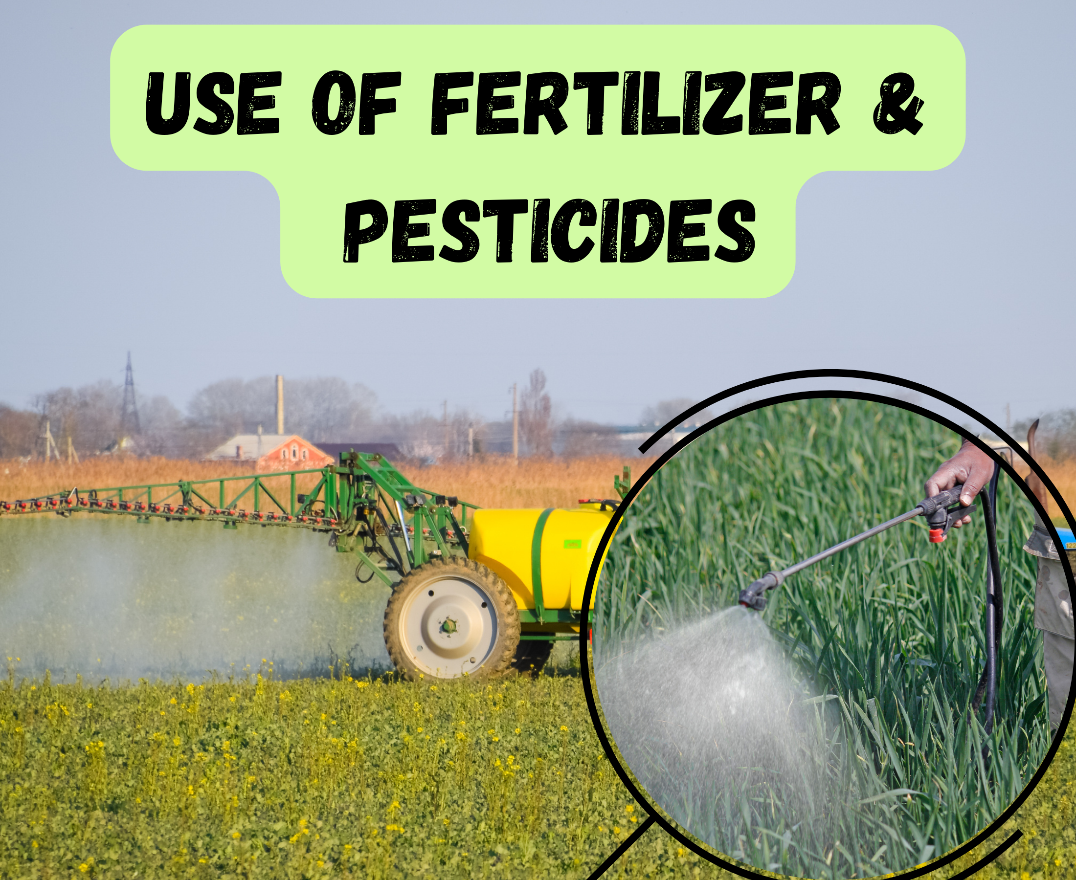 Can I use pesticide application on the day of nitrogen fertilizer application?