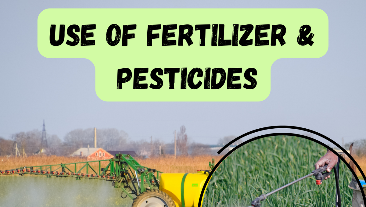 Can I use pesticide application on the day of nitrogen fertilizer application?