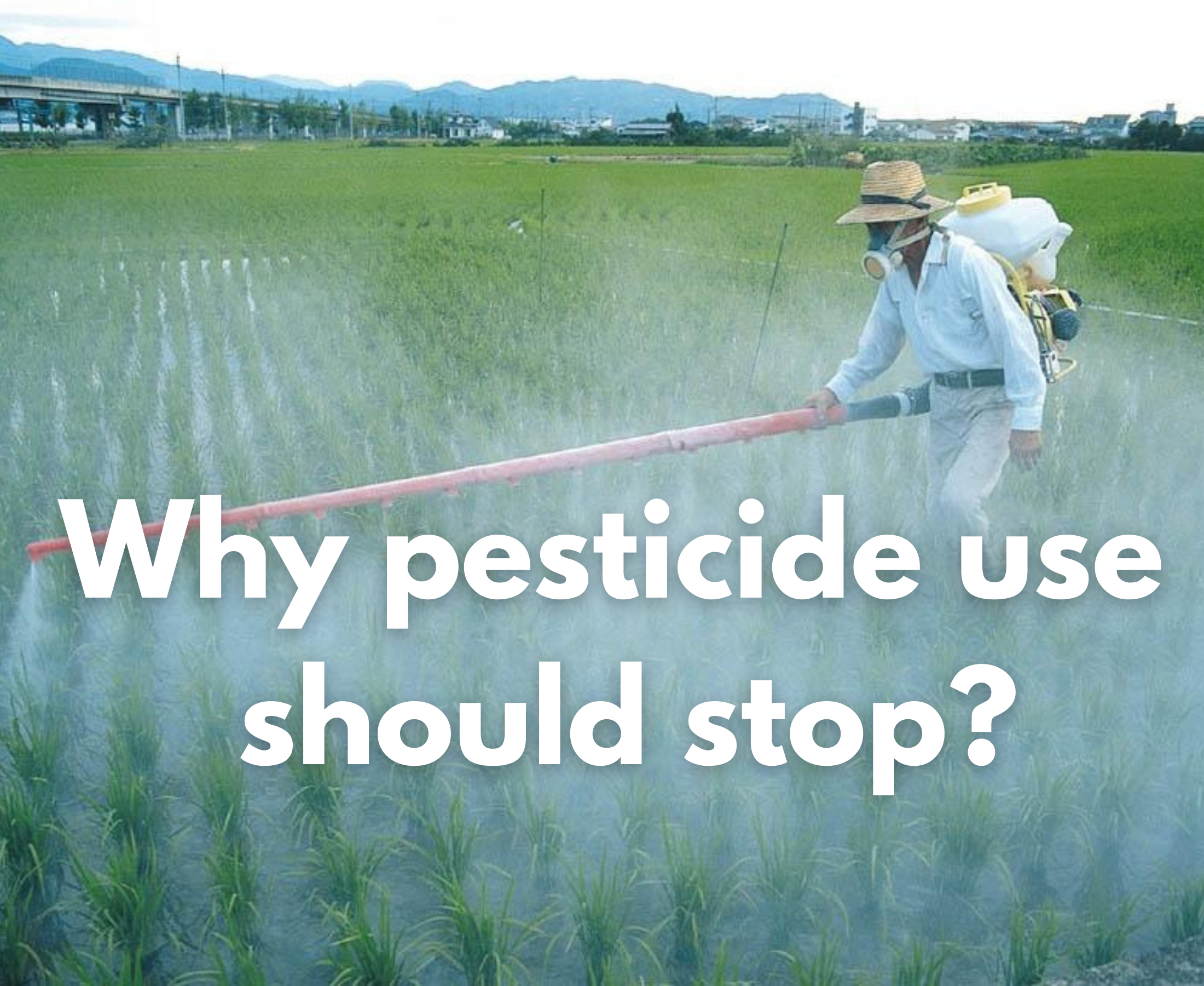 Pesticide use should be minimized, even though it is used to control insects why?