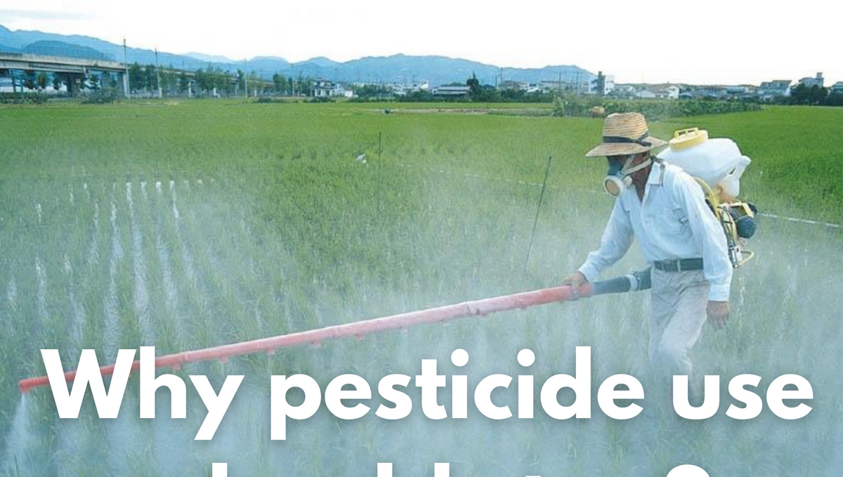 Pesticide use should be minimized, even though it is used to control insects why?