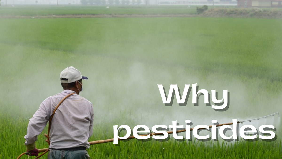 Pesticides are harmful, why? Solution for this