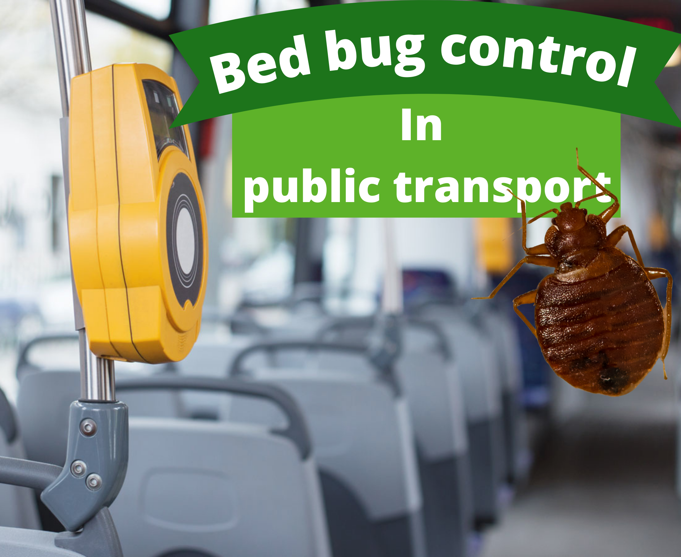 Bed bug infestation control methods in buses and railway coaches?