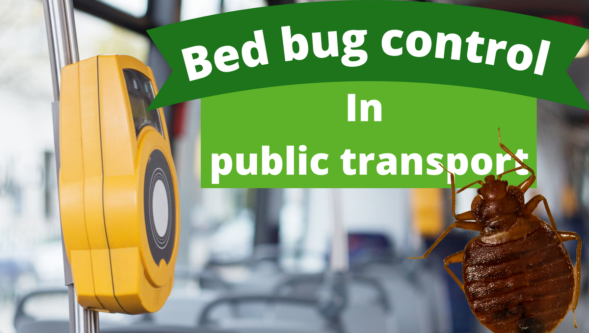 Bed bug infestation control methods in buses and railway coaches?
