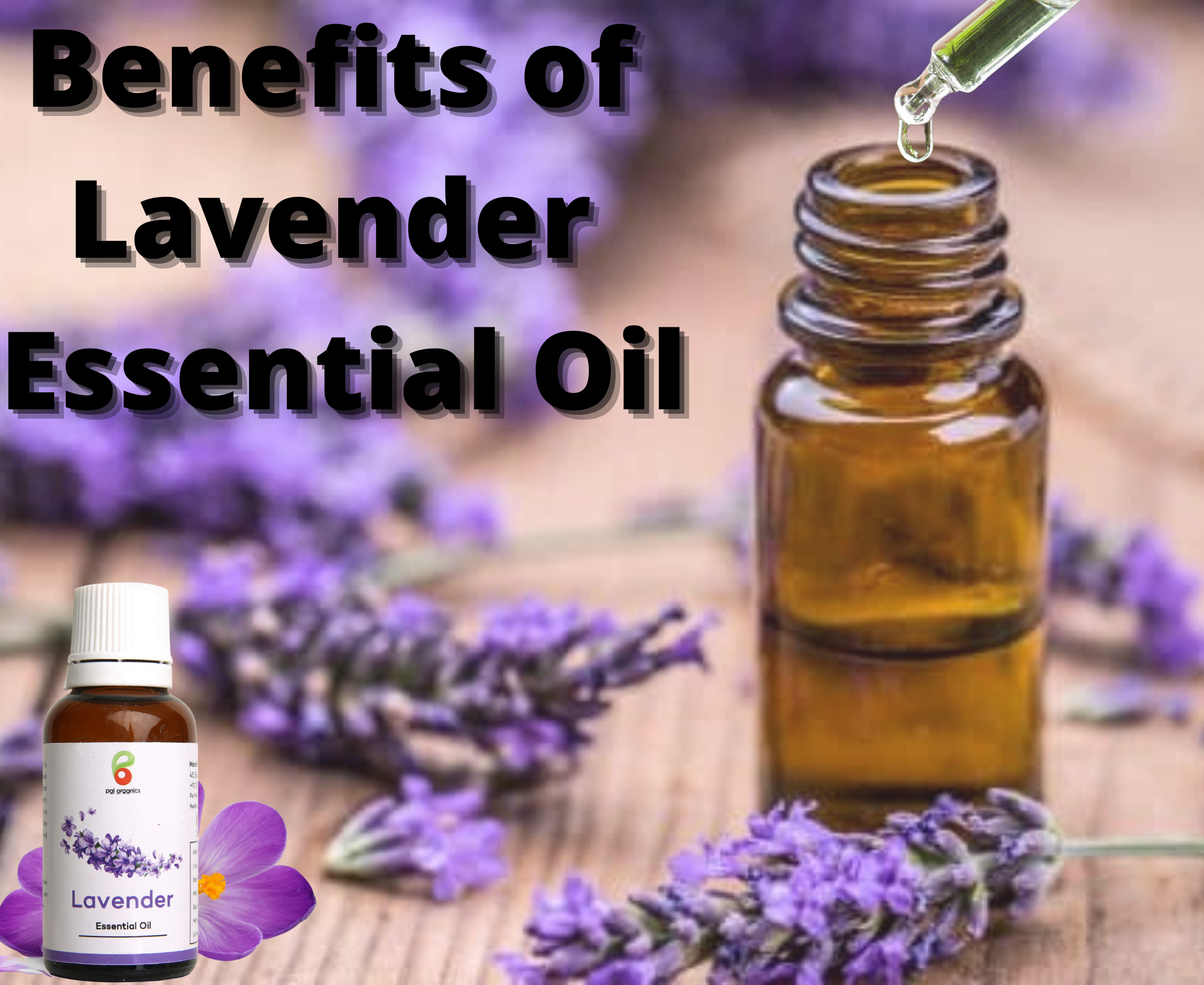 Benefits of Lavender Essential Oil