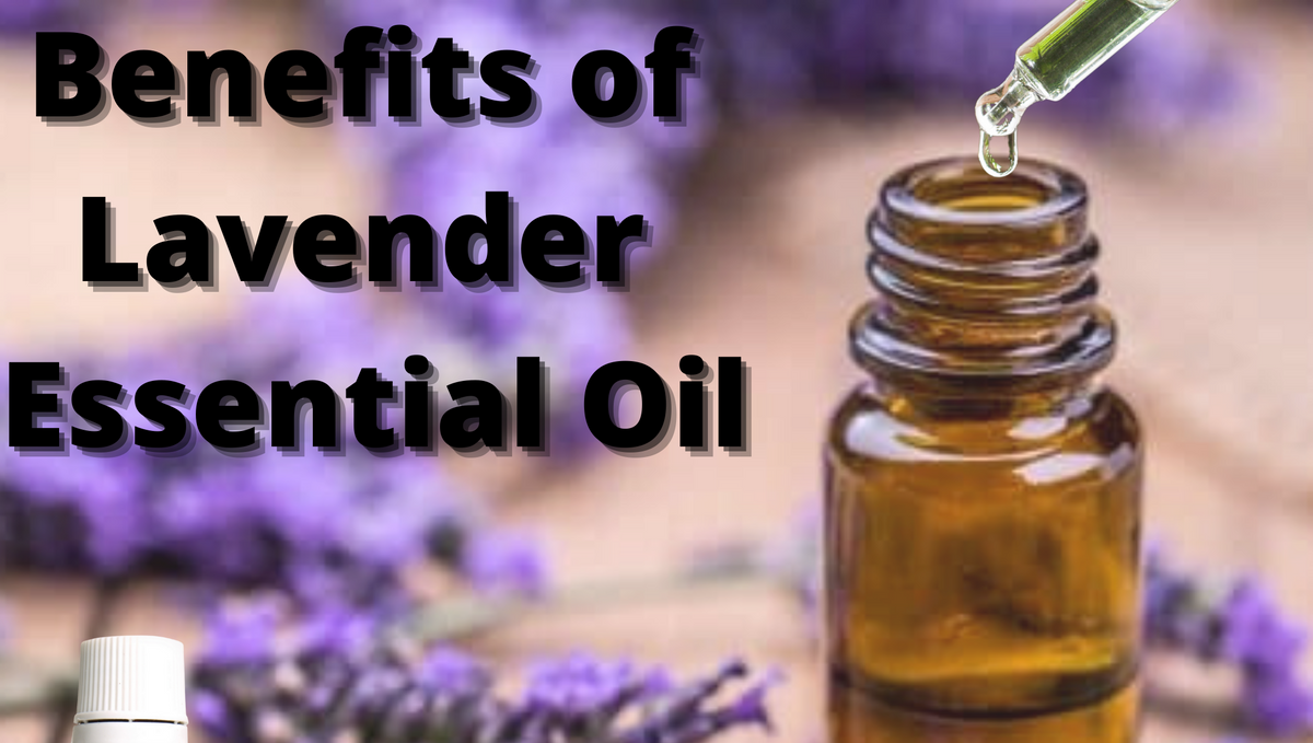 Benefits of Lavender Essential Oil