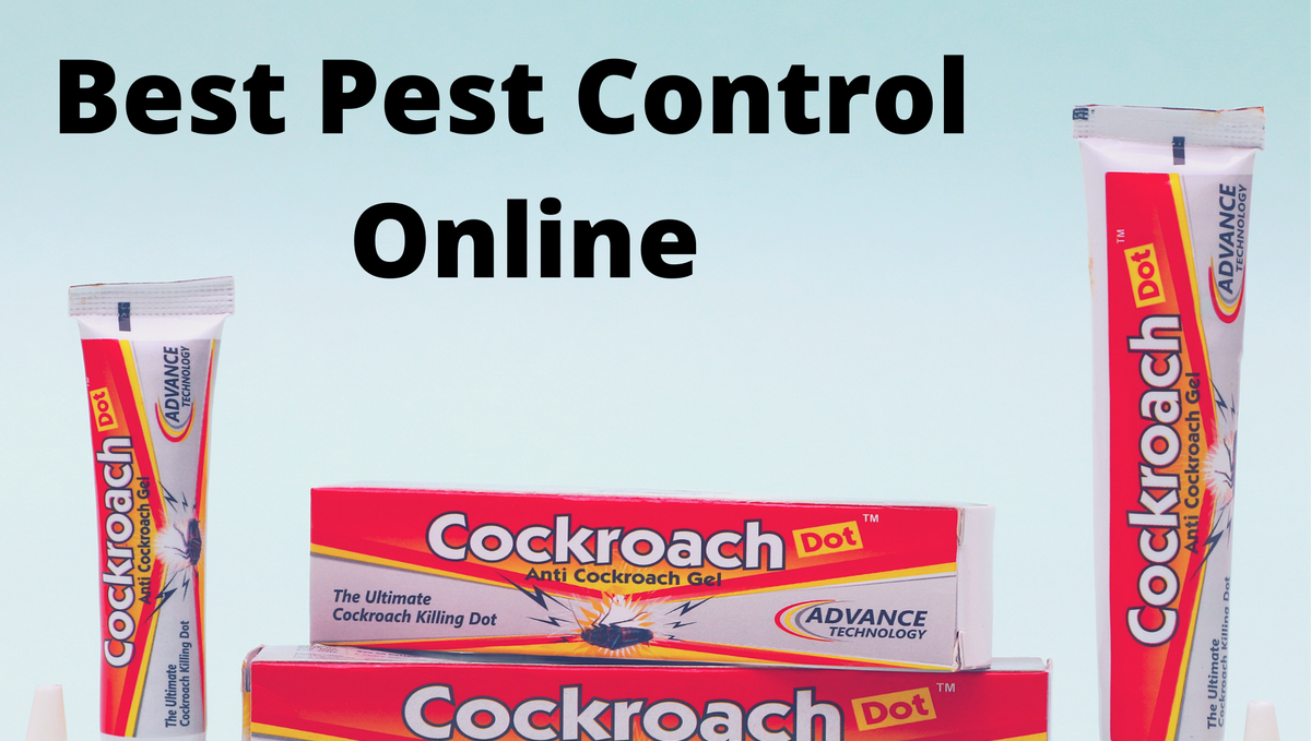 Buy Best Pest Control Online