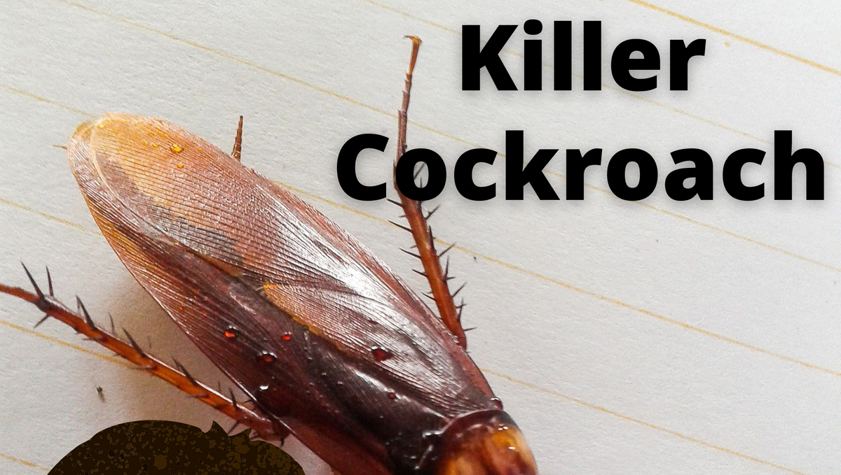 Can Cockroaches kill me instantly without their bite?