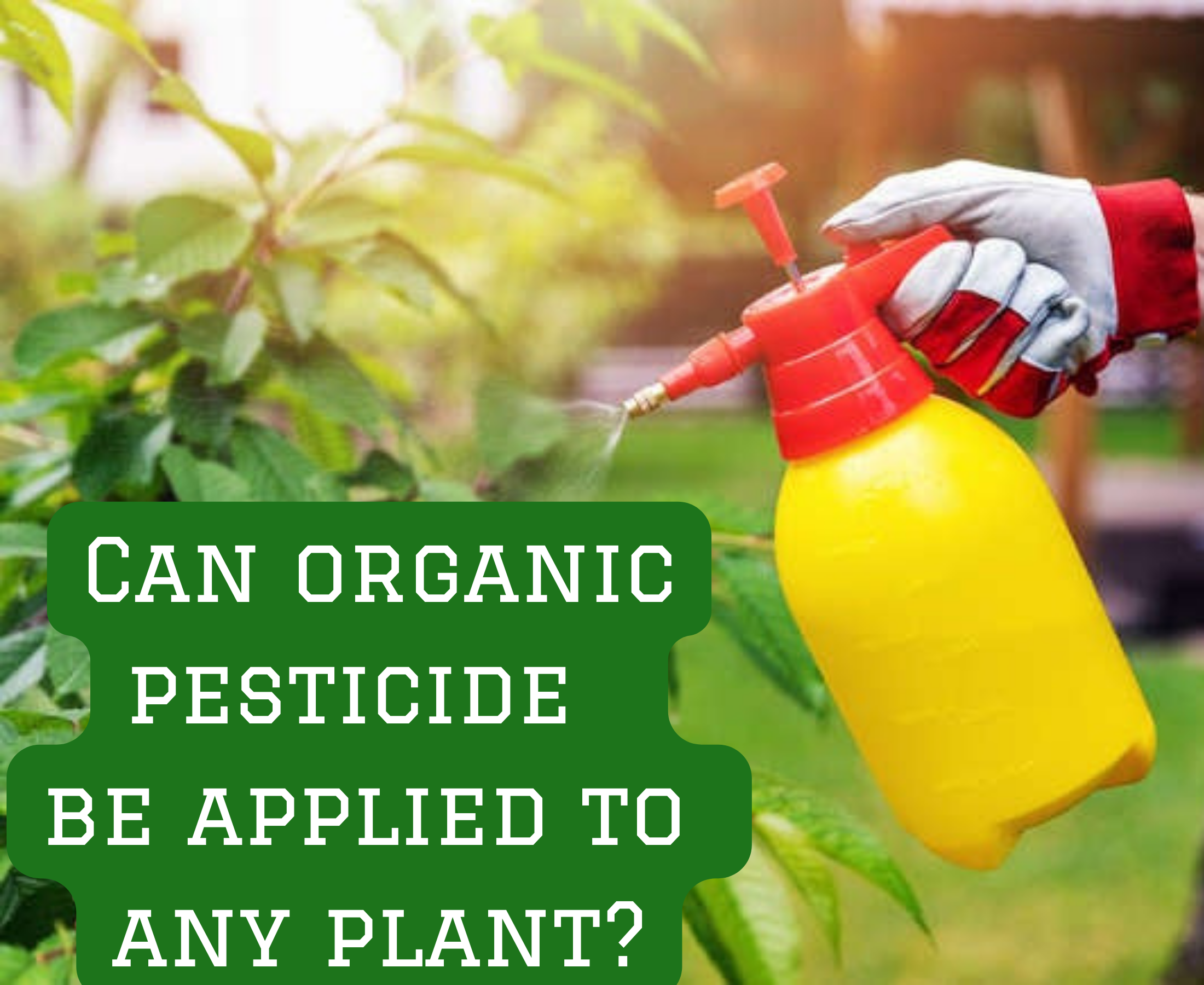 pesticide can