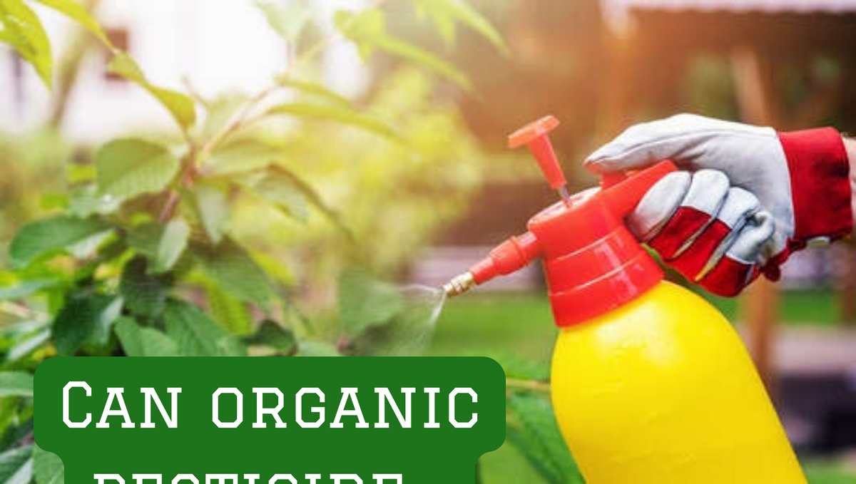 Can organic pesticides be applied to any plant?