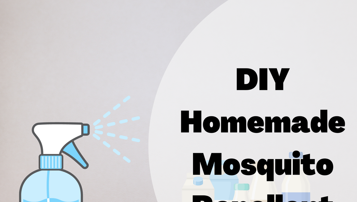 How to make the best homemade mosquito repellent?